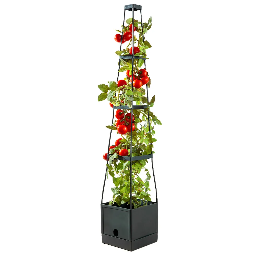 Tomatenturm 16 Liter, ca. 25 x 25 x 150 cm - Anthrazit