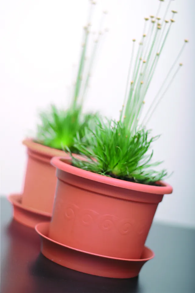 Powertec Garden Pflanztopf "Classic", Rund -  Terrakotta