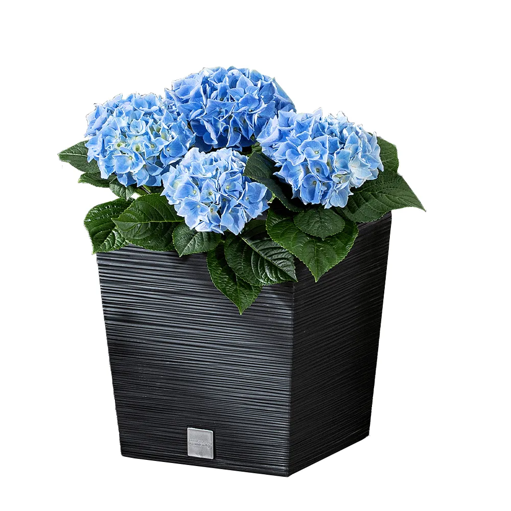 Powertec Garden Blumentopf "Florenz" - Eckig, ca. 10 Liter, Anthrazit