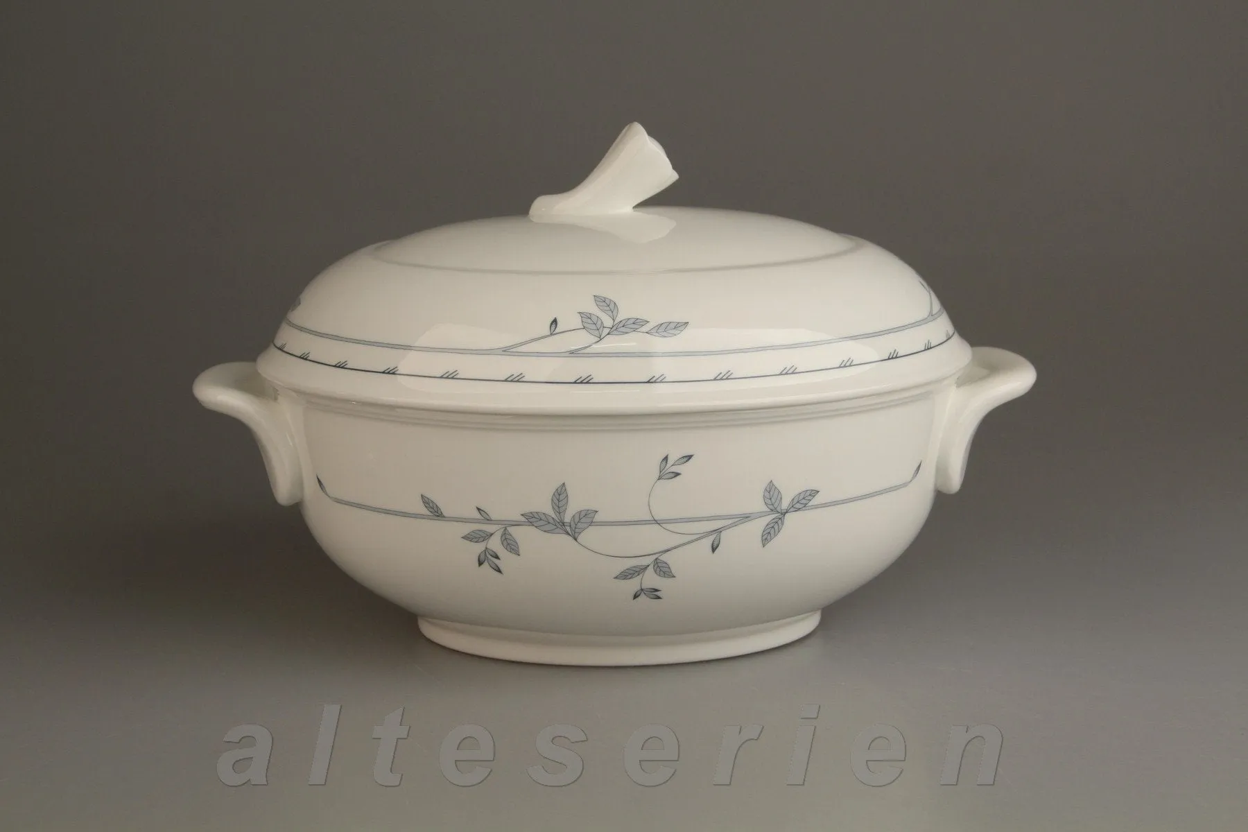 Ragout / Terrine - Villeroy & Boch Filetto