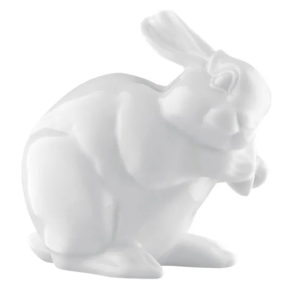 Fürstenberg Jahreshase 2013 Casper