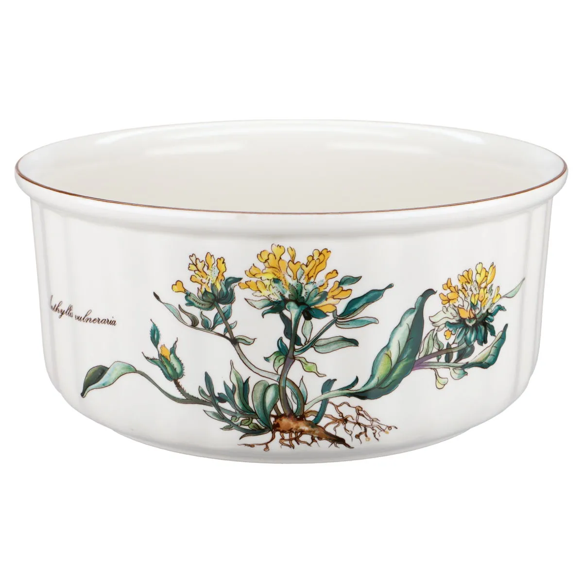 Auflaufform ofenfest Anthyllis Vulneraria mittelgroß - Villeroy & Boch Botanica