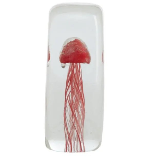 Light & Living Dekorationsobjekt Qualle Jellyfish Coral Rot (13cm)