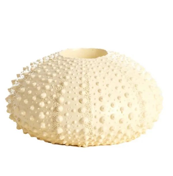 Light & Living Teelichthalter Seeigel Sea Urchin Cream (15cm)