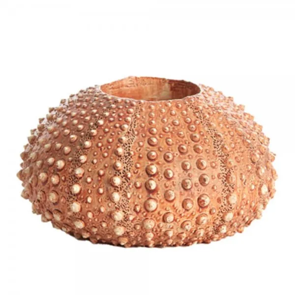 Light & Living Teelichthalter Seeigel Sea Urchin Rot (12cm)