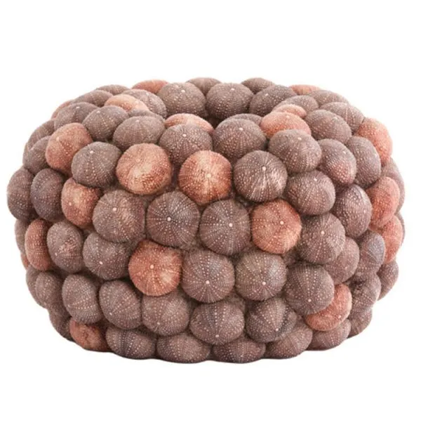 Light & Living Vase mit Seeigeln Sea Urchin Coralle (23,5cm)