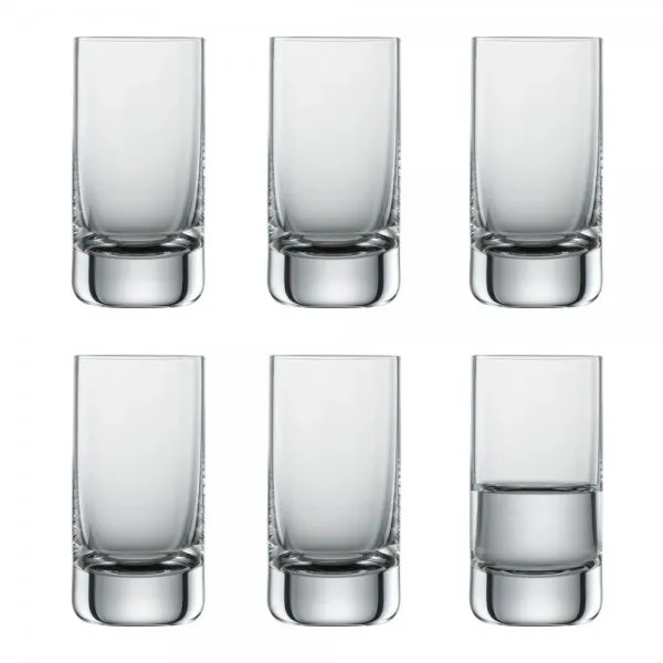 Schott Zwiesel Schnapsglas Set Simple (6-teilig)