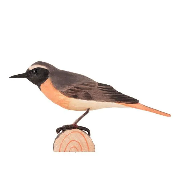 Wildlife Garden Dekovogel Gartenrotschwanz